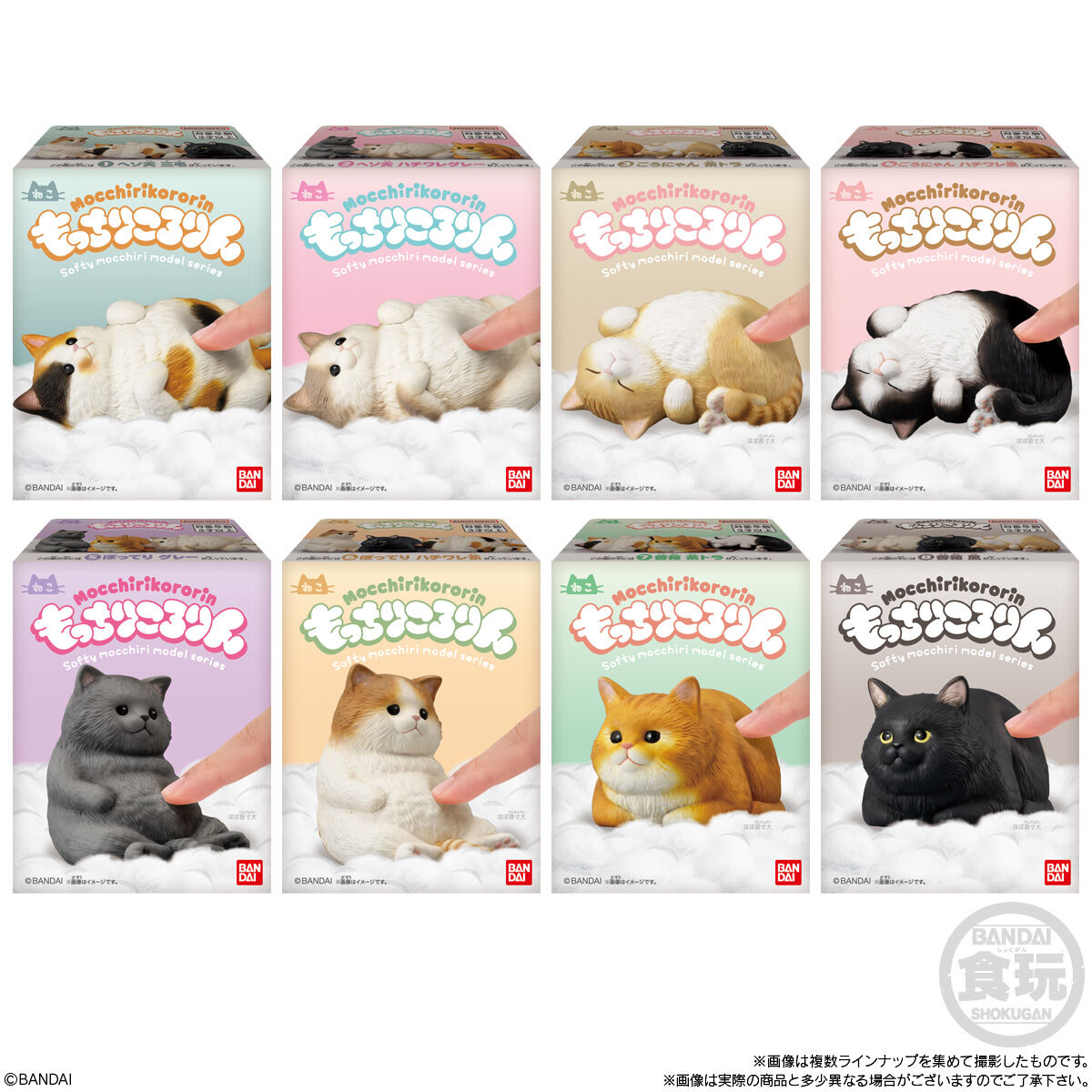 MocchiriKororin Softy Cat