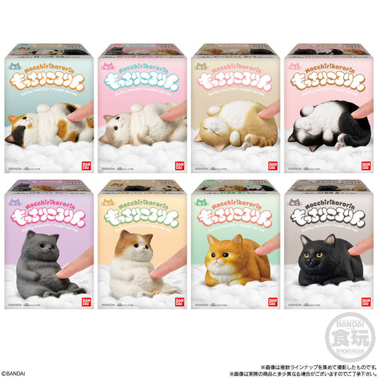 MocchiriKororin Softy Cat