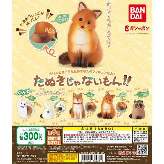 I’m “NOT” Tanuki ! Gacha