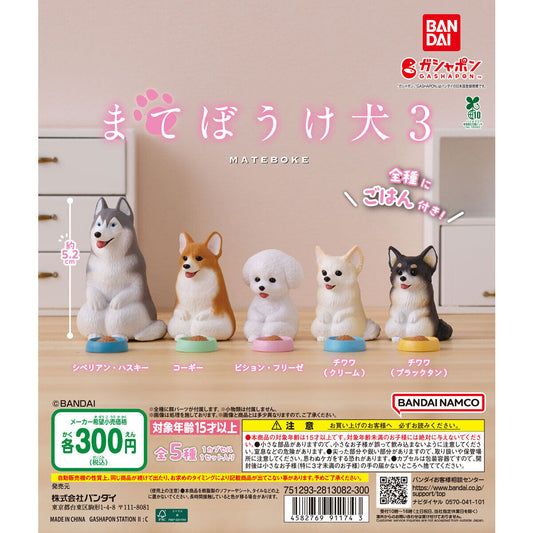 Still Waiting For You Dog 3