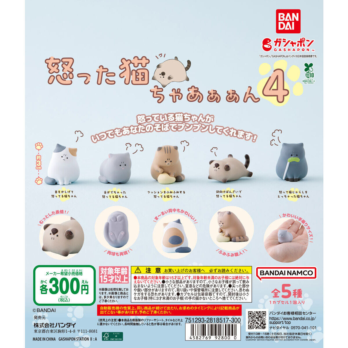 Irritated Meowment 4