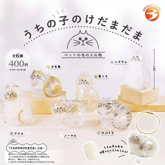 Cat Fur Container Set