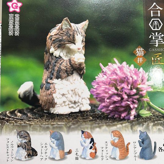 Gassho Cats Gacha