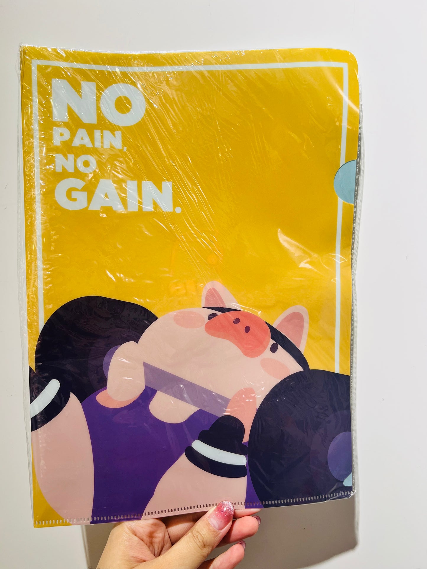 LuLu the Piggy Fitness Limited Set