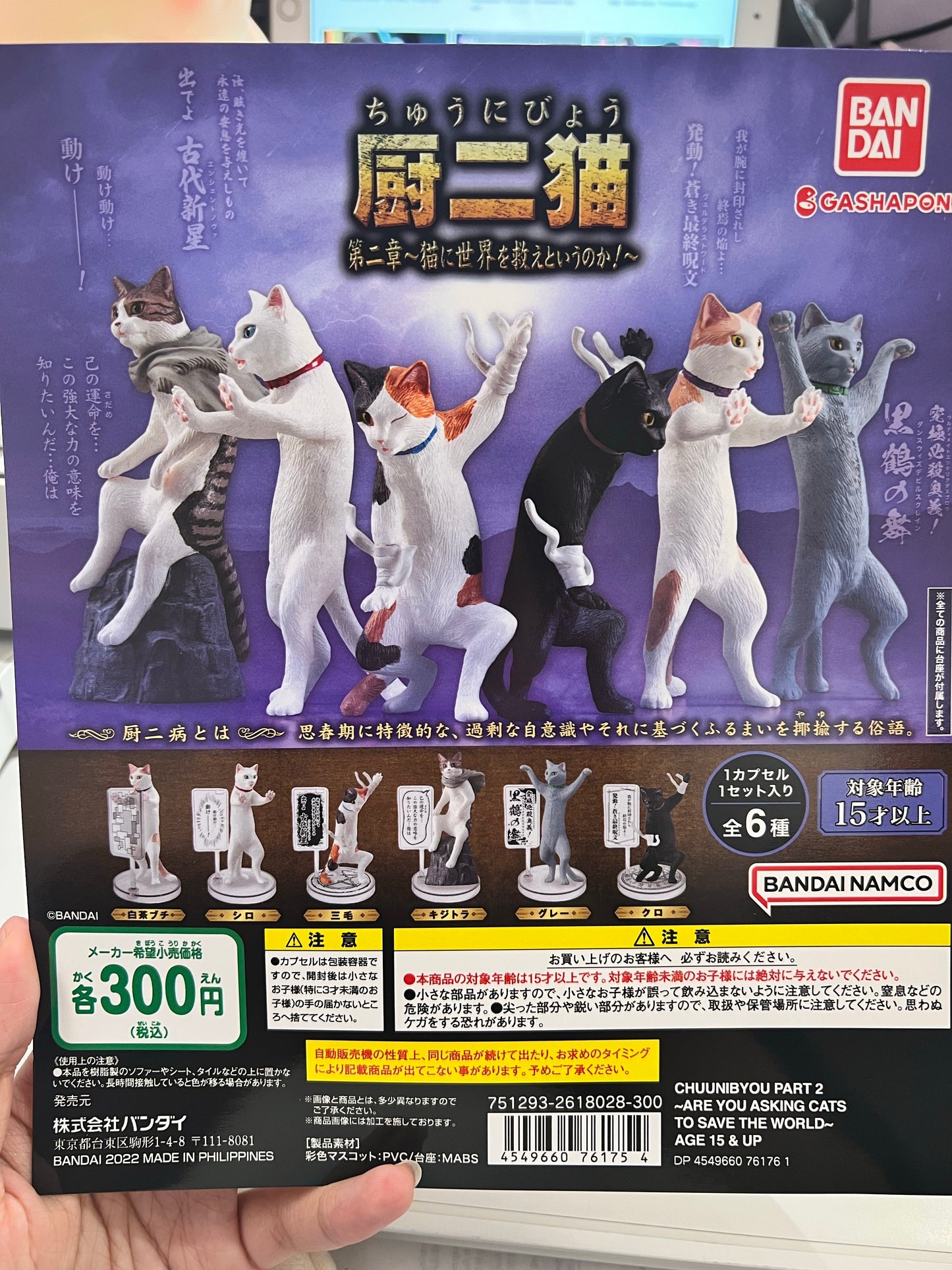 Gashapon Kungfu Cat saving the World