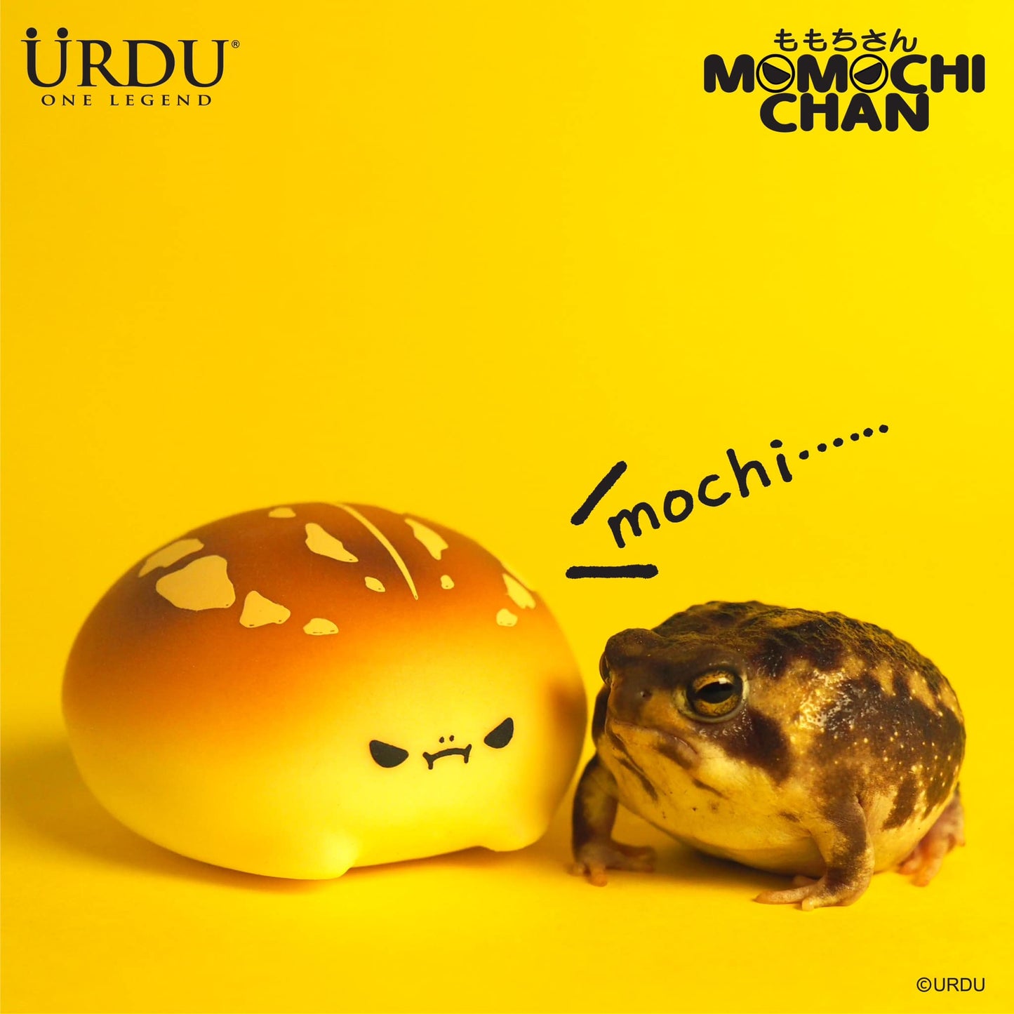 MOMOCHICHAN Bun Blind Box by URDU