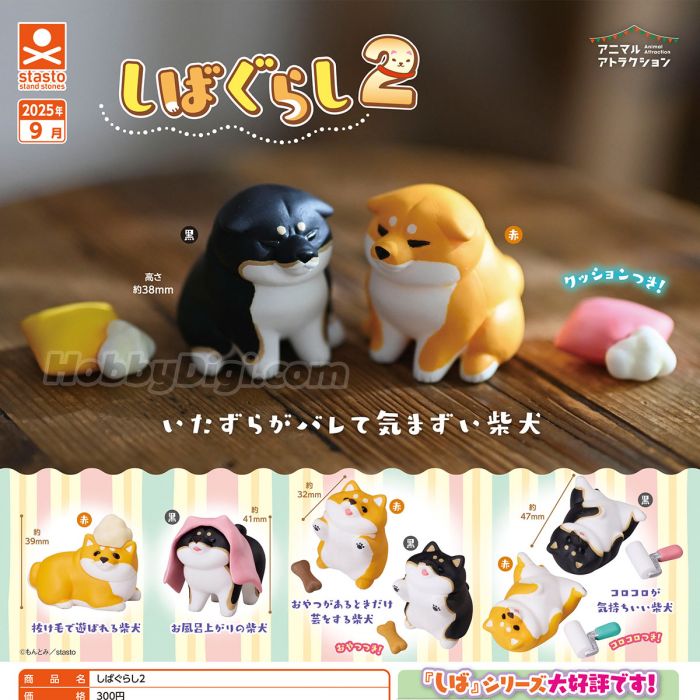 不想回家的柴犬2