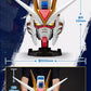 BN HEAD COLLECTION VOL.2 STRIKE FREEDOM GUNDAM 機動戰士 高達 突擊自由高達 ZGMF-X20A