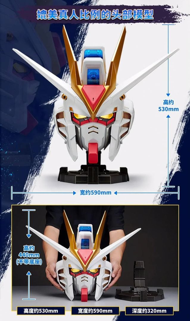 BN HEAD COLLECTION VOL.2 STRIKE FREEDOM GUNDAM 機動戰士 高達 突擊自由高達 ZGMF-X20A