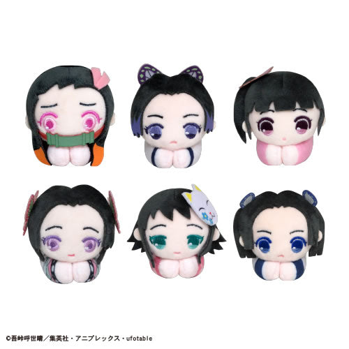 Demon Slayer Hagu-Chara Collection Ver. 5 Blind Box