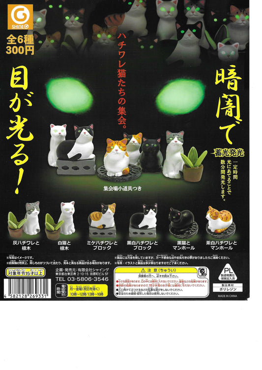 Glowing in the dark Cat Gatcha